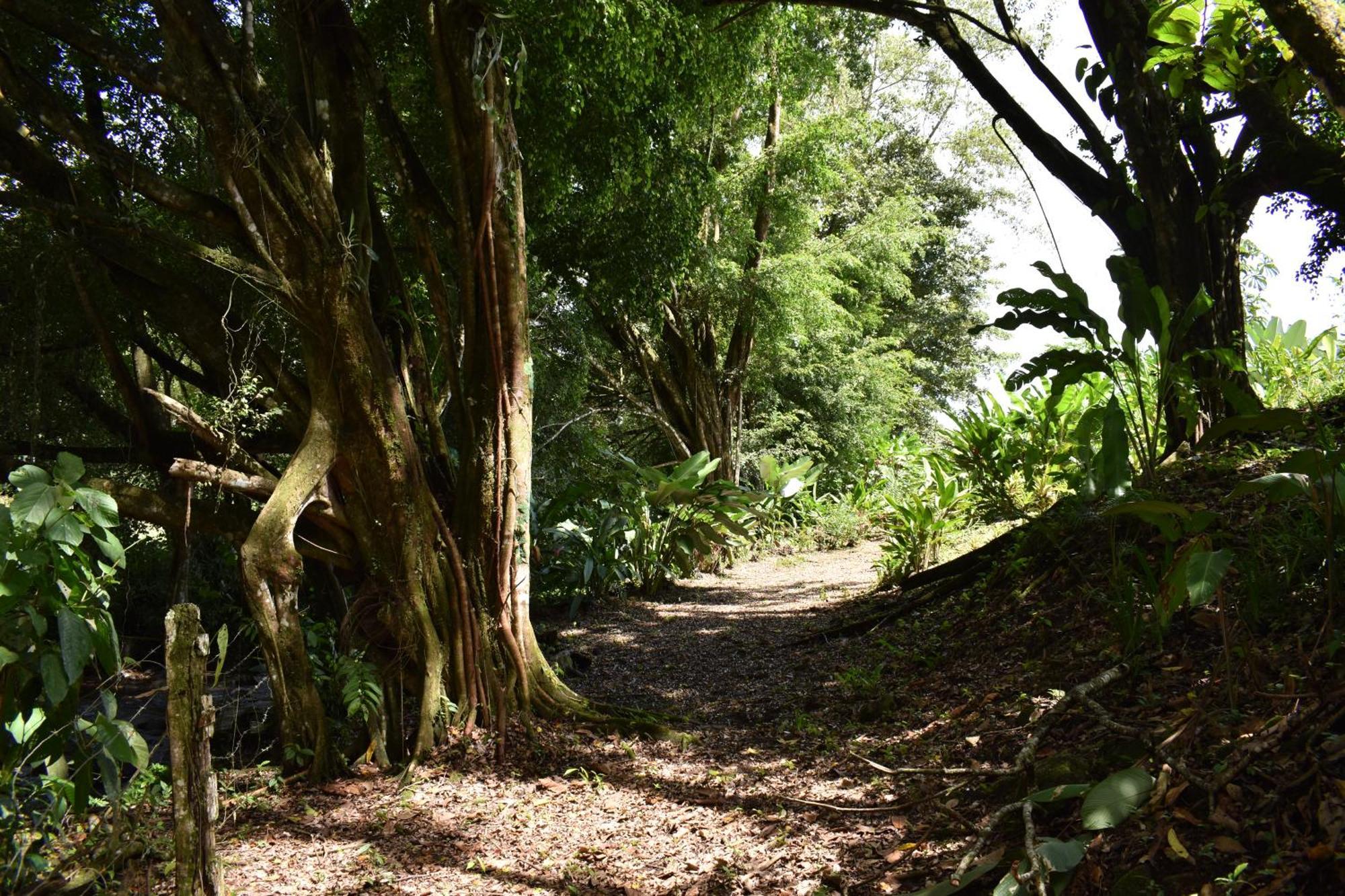 Hotel Arenal Country Inn La Fortuna Luaran gambar