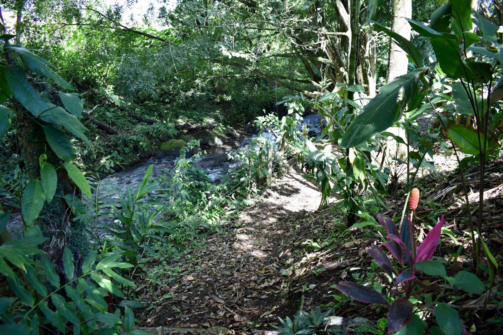 Hotel Arenal Country Inn La Fortuna Luaran gambar