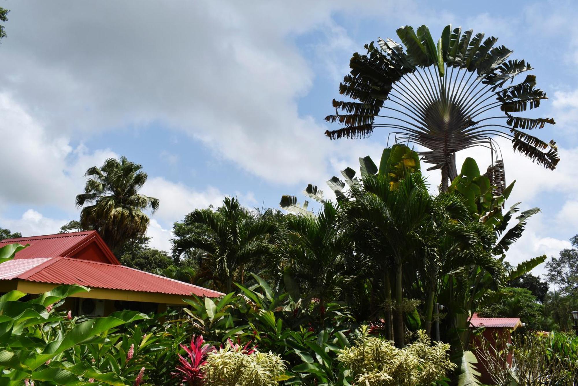 Hotel Arenal Country Inn La Fortuna Luaran gambar