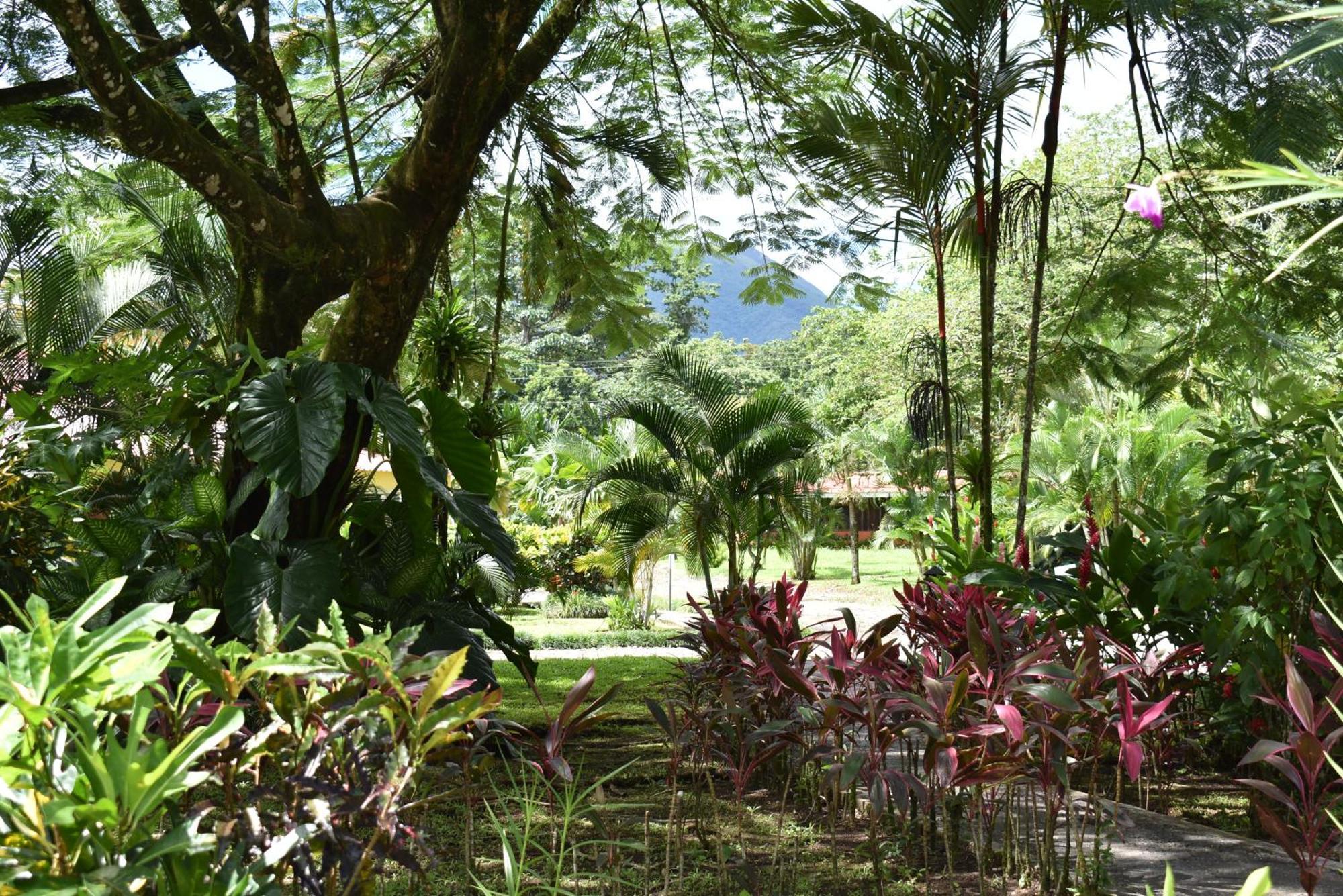 Hotel Arenal Country Inn La Fortuna Luaran gambar